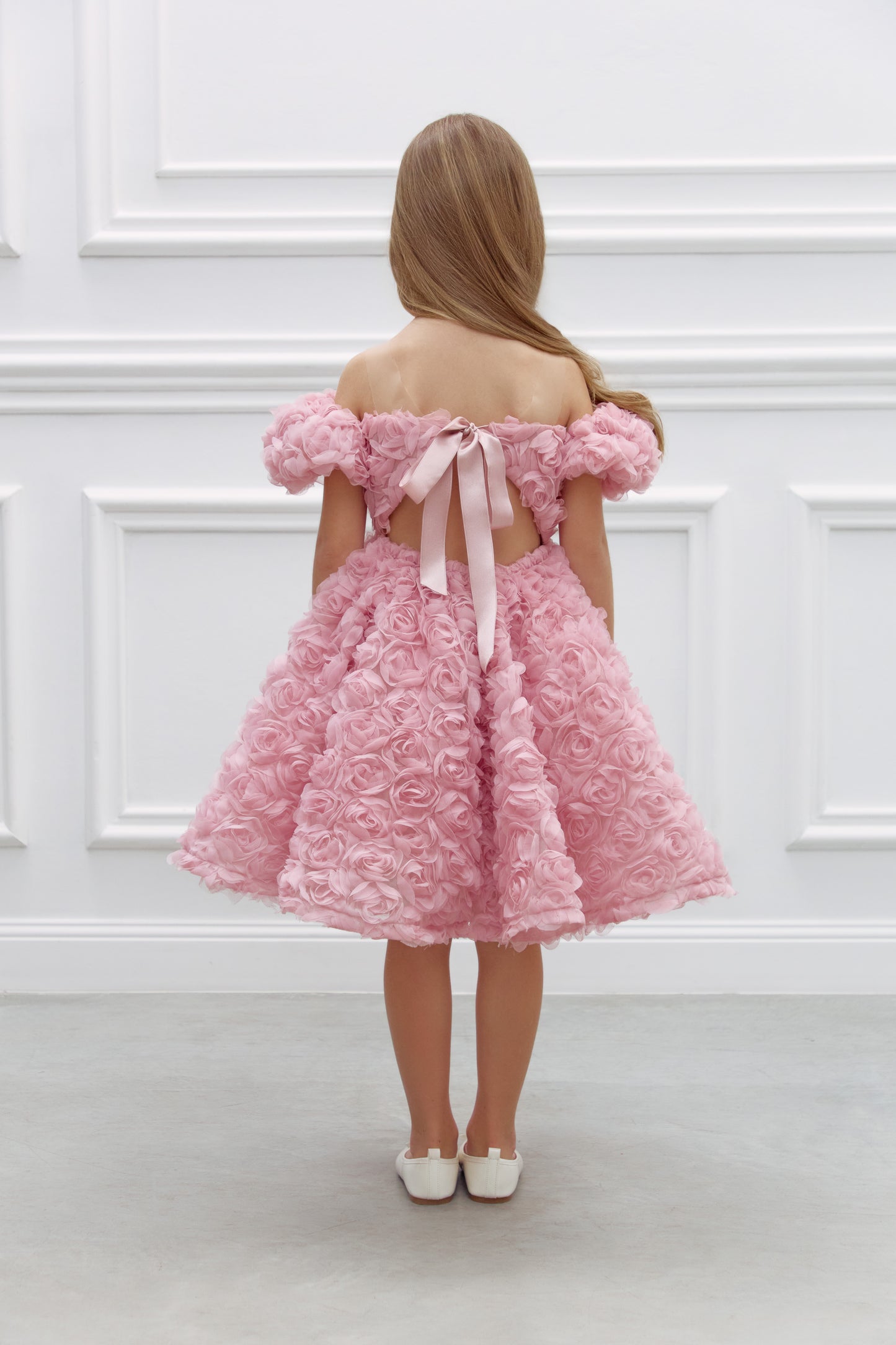 Demy rose